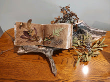 Load image into Gallery viewer, Art Classes