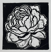 Load image into Gallery viewer, Art Classes