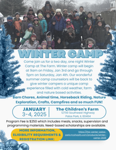 Load image into Gallery viewer, Winter Camp 2026