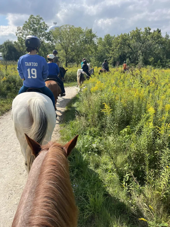Horse Group at The Center-Full Year 2025-2026
